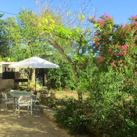 Des Lilas * Uzès