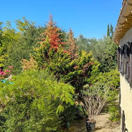 Des Lilas Appartement Uzès